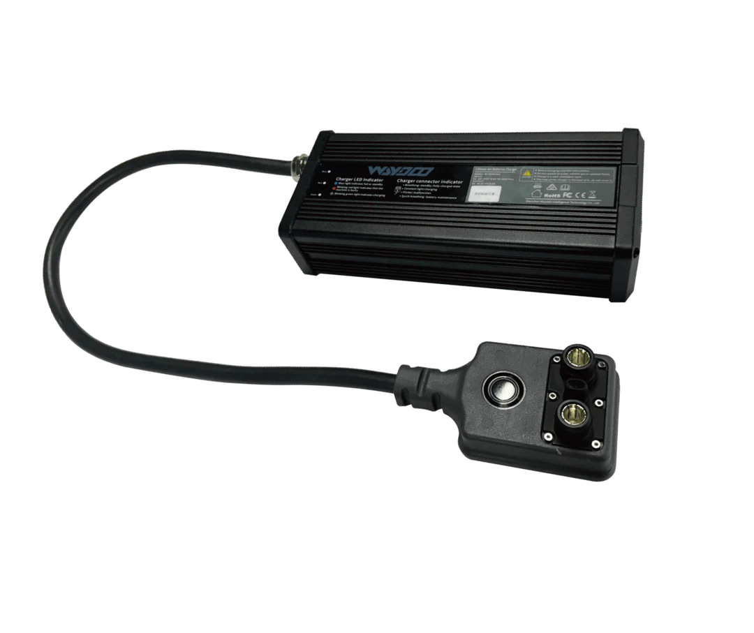 Flyer Evo Efoil - EVO MASTER