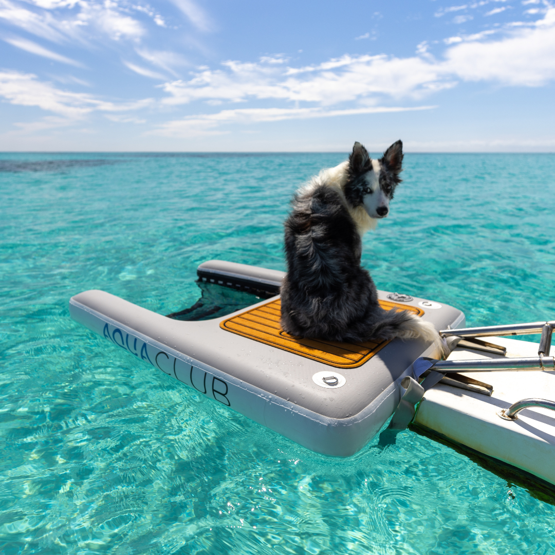 Doggy Dock