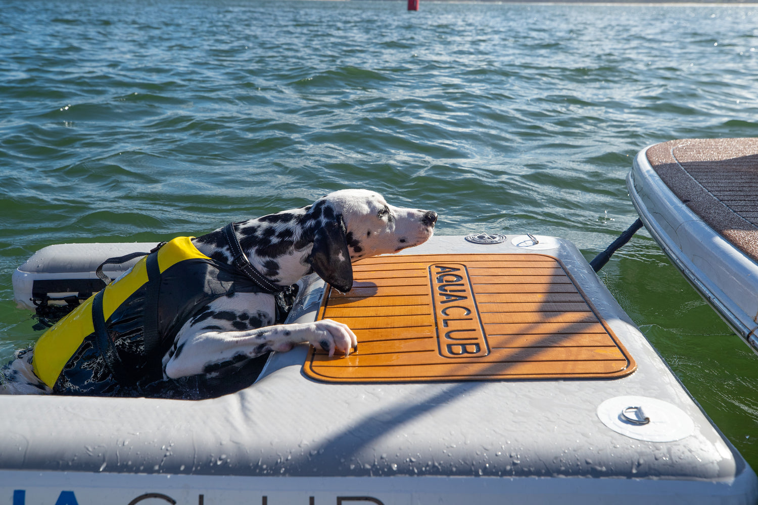 Doggy Dock