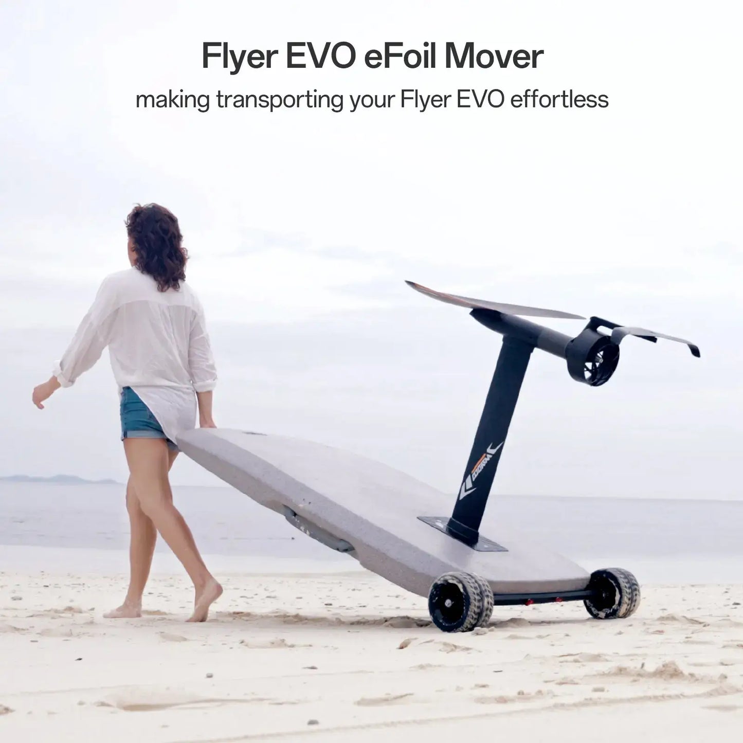 Flyer Evo Efoil - EVO MAX PLUS